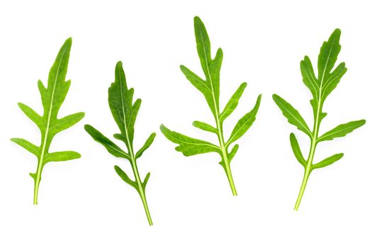 Arugula leaves isolated on white background. Closeup fresh wild rocket leaves on white background top view.