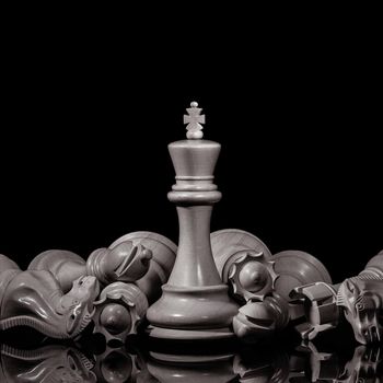 Black and White King and Knight of chess setup on dark background . Leader and teamwork concept for success. Chess concept save the king and save the strategy.