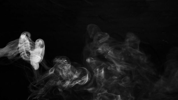 swirl white smoke against black dark background. Resolution and high quality beautiful photo