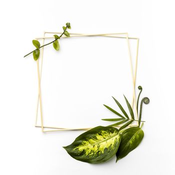flat lay arrangement green leaves with empty frames. Resolution and high quality beautiful photo