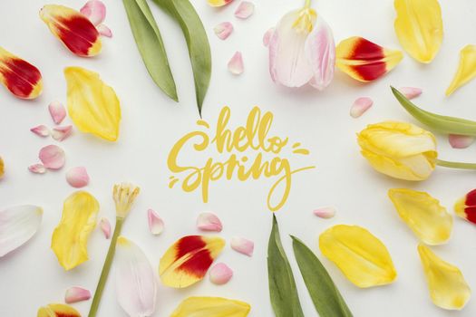 hello spring word flower petals. Resolution and high quality beautiful photo