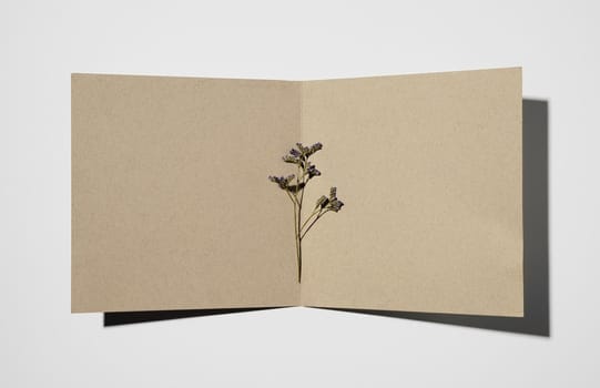 top view stationery paper with plant. Resolution and high quality beautiful photo