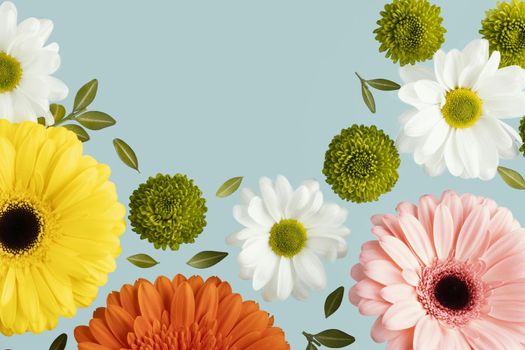 flat lay spring daisies gerberas. Resolution and high quality beautiful photo