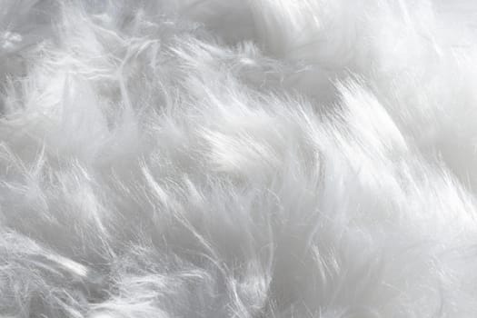fluffy white feathers organic background. Resolution and high quality beautiful photo