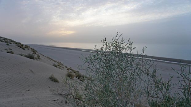 Dawn on the sandy beach of the sea. View of the bush. A sand dune with small bushes. The sun's rays peek out from behind the clouds. A light wave, almost calm. The water merges with the sky