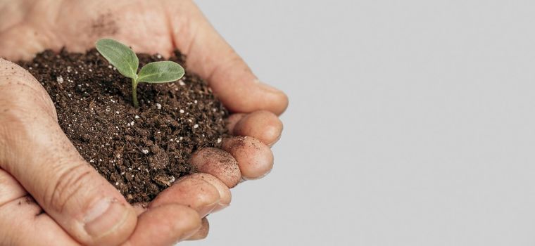 hands holding soil growing plant with copy space. Resolution and high quality beautiful photo