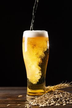 delicious american beer arrangement. Resolution and high quality beautiful photo
