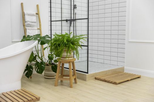 interior design bathroom with bathtub shower. Resolution and high quality beautiful photo