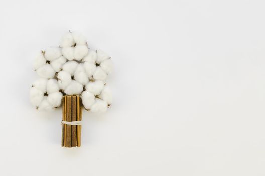 top view cotton flowers bouquet with copy space. Resolution and high quality beautiful photo