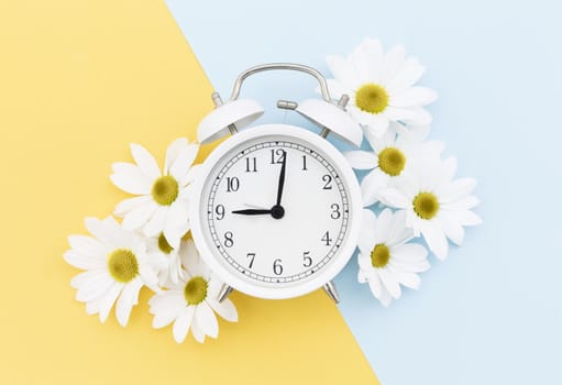 top view arrangement with clock daisies. Resolution and high quality beautiful photo