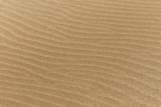 fine beach sand with waves. Resolution and high quality beautiful photo