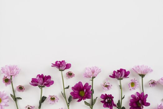 flowers background copy space 3. Resolution and high quality beautiful photo