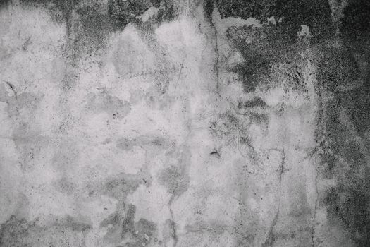 decay old dirty white wall with mold. Resolution and high quality beautiful photo