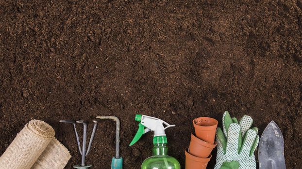 flat lay gardening concept. Resolution and high quality beautiful photo