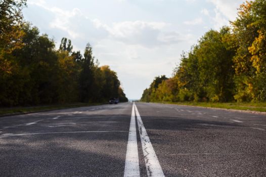 road surrounded by nature. Resolution and high quality beautiful photo