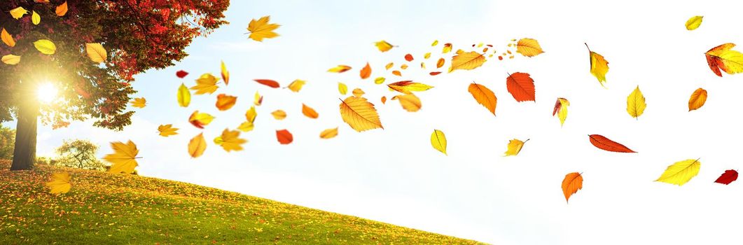 Beautiful autumn background with yellow and red leaves.