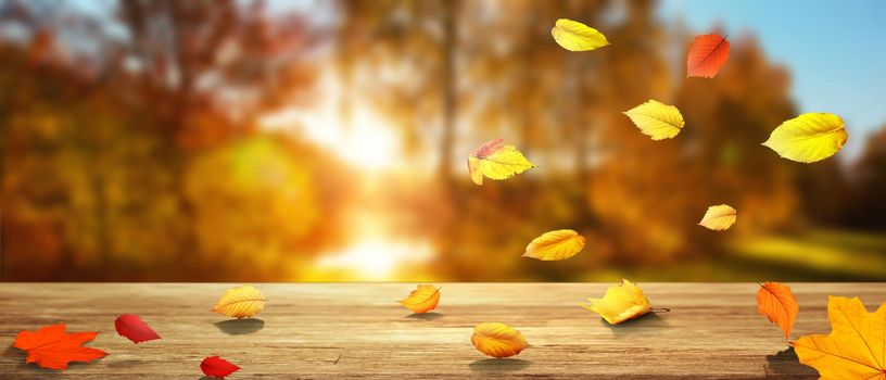 Beautiful autumn background with yellow and red leaves.