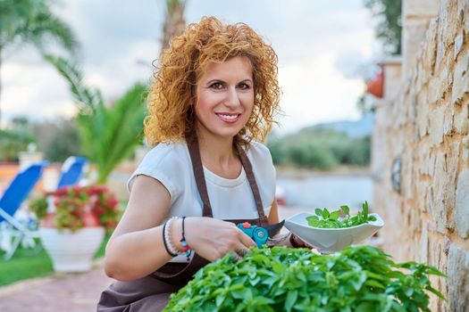 Beautiful woman in garden cuts spicy basil herbs. Middle-aged female in apron with secateurs plate, looking at camera, cutting off fragrant basil. Growing healthy organic food, hobbies, green trends