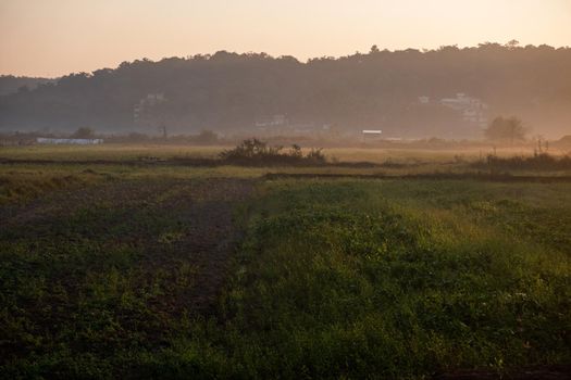 Sunrise, road in Indian fields, Goa, India