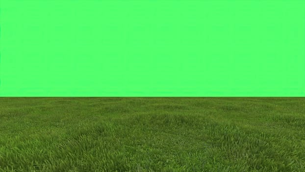 3d illustration - green field on green screen in background