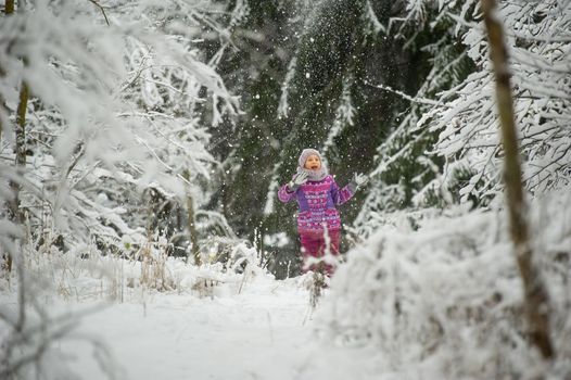 a little girl in winter in purple clothes walks through a snow-covered forest.