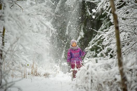 a little girl in winter in purple clothes walks through a snow-covered forest.