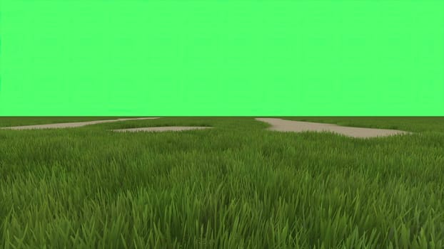 3d illustration - green field on green screen in background