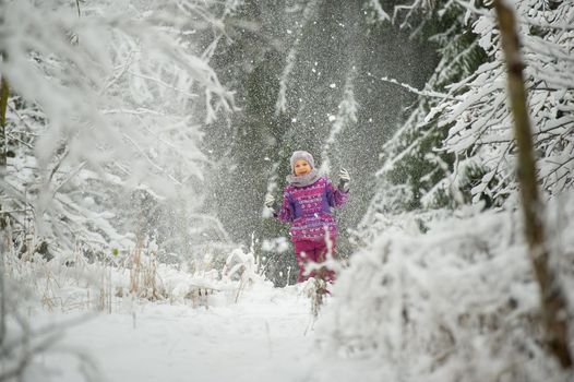 a little girl in winter in purple clothes walks through a snow-covered forest.