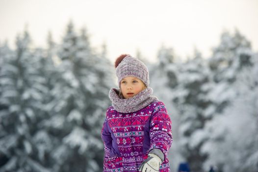 a little girl in winter in purple clothes walks through a snow-covered forest.