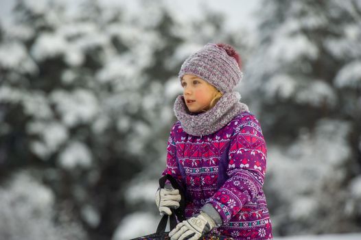 a little girl in winter in purple clothes walks through a snow-covered forest.