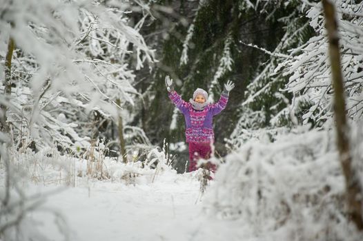a little girl in winter in purple clothes walks through a snow-covered forest.