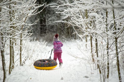 a little girl in winter in purple clothes and an inflatable circle walks on the street in a snow-covered forest.