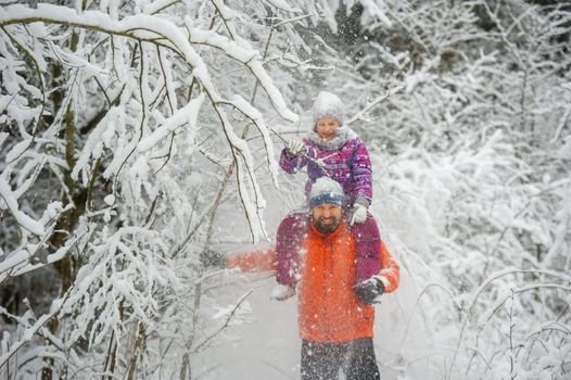Family dad and daughter walk in the snow-covered forest in winter.