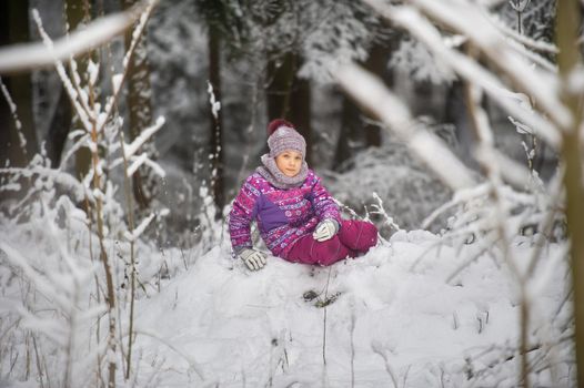 a little girl in winter in purple clothes walks through a snow-covered forest.