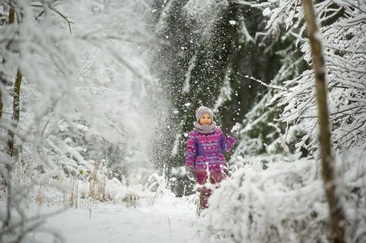 a little girl in winter in purple clothes walks through a snow-covered forest.