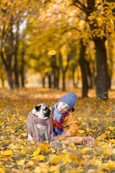 A child sit in fallen yellow leaves with a pug in the autumn park. Friends since childhood.