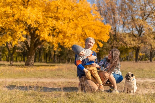 A young family with a small child and a dog spend time together for a walk in the autumn park.