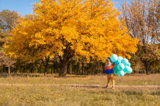 A little boy with an armful of balloons walks in the autumn park. Yellow trees and blue balls. Stylish child.