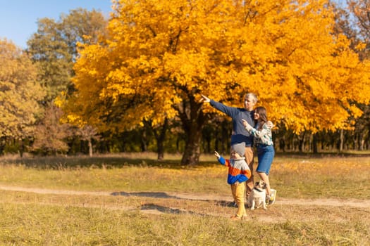 A young family with a small child and a dog spend time together for a walk in the autumn park.