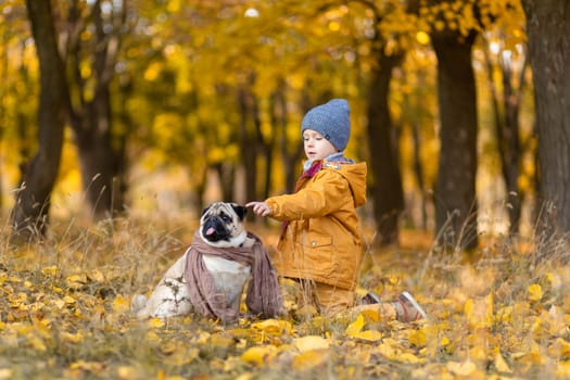 A child sit in fallen yellow leaves with a pug in the autumn park. Friends since childhood.