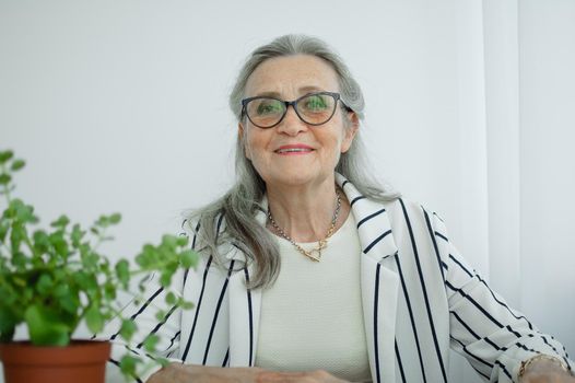 Senior grey haired businesswoman in striped jacket with eyeglasses is working in her office sitting at the desk. Happy retirement, employment and labor.