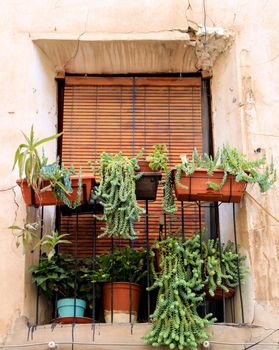 House facade with rusty balcony with a lot of pots and wooden blind in Novelda, Spain