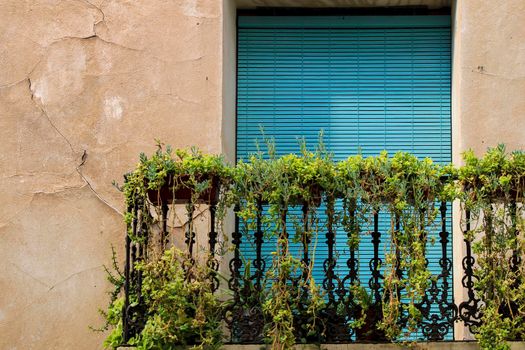 House facade with rusty balcony with a lot of pots and wooden blind in Novelda, Spain