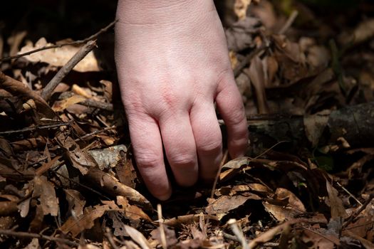 Woman's hand grabbing stick clutter from leaves in a yard