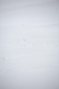 Shallow tire tracks on a dangerous snow-covered road