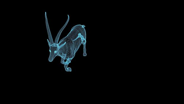 3d illustration - wireframe  Gazelle  on black background