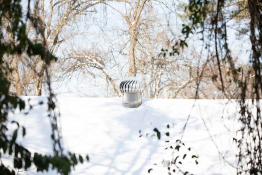 Vines framing a snow-covered roof and a whirlybird vent