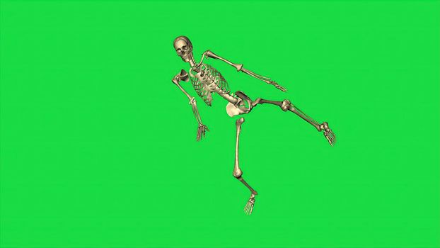 3d illustration - Skeleton Exercise Karate, Separate On Green Screen