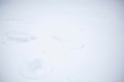 Human footprints creating a zig-zag path in a snow-covered yard