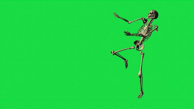 3d illustration - Skeleton Exercise Karate, Separate On Green Screen